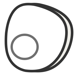 Bifocal round top