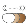 Bifocal transitions lens - brown