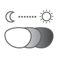 Bifocal transitions lens - gray